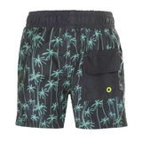  DJ DutchJeans Palmiers gris/menthe maillot de bain pour homme