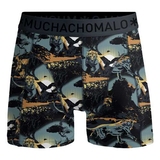 Muchachomalo Lion bleu/print boxer pour hommes