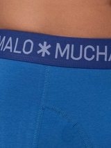 Muchachomalo Basic cobalt boxer