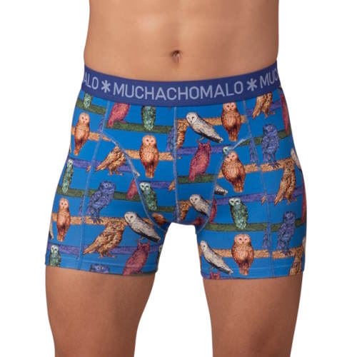Muchachomalo Owl cobalt boxer