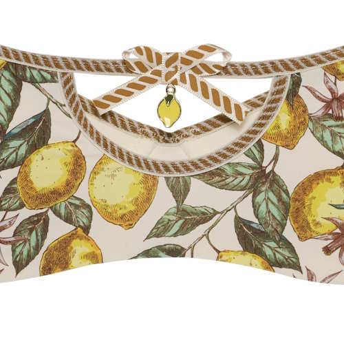 Marlies Dekkers Mambo ivoire/print soutien-gorge push up