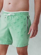 Bomain Magic Flamingo vert/print maillot de bain pour homme