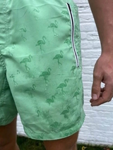 Bomain Magic Flamingo vert/print maillot de bain pour homme