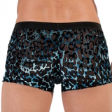 HOM Leopard noir/bleu sport trunk