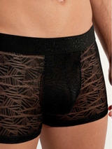 HOM Ari noir sport trunk