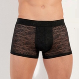 HOM Ari noir sport trunk