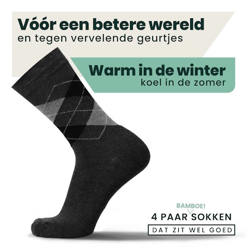 Bamboosa Steve anthracite chaussettes