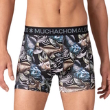 Muchachomalo Golden Special multicolore boxer