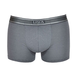 Lisca Zeus gris boxer