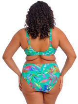 Elomi Swim Toyama Tides  haut de bikini préformé