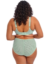 Elomi Brianna bleu soutien-gorge rembourré