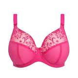 Elomi Charley rose soutien-gorge rembourré