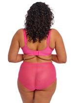 Elomi Charley rose slip