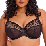 Elomi Charley noir soutien-gorge rembourré