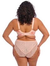 Elomi Lucie rose soutien-gorge rembourré