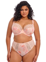 Elomi Lucie rose slip