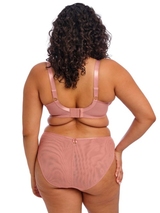 Elomi Teagan rose slip