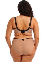 Elomi Teagan poudre soutien-gorge rembourré