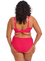 Elomi Teagan fuchsia soutien-gorge rembourré