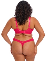 Elomi Teagan fuchsia soutien-gorge rembourré