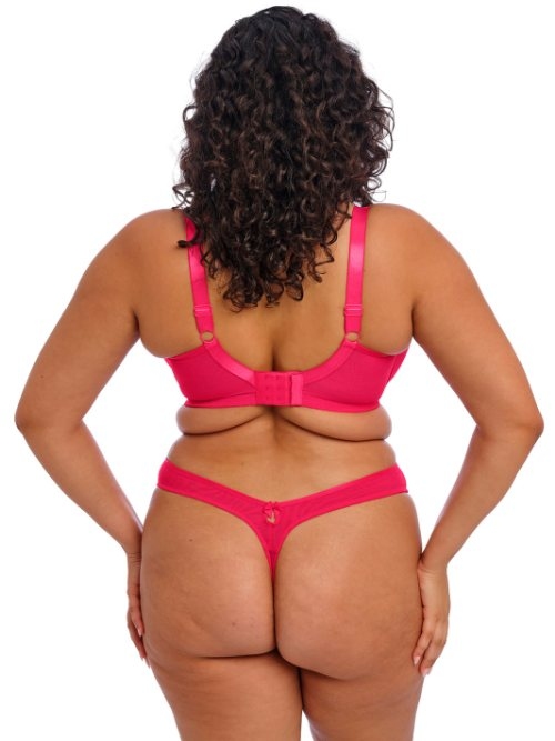 Elomi Teagan fuchsia soutien-gorge rembourré