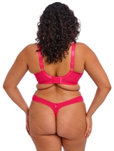 Elomi Teagan fuchsia culotte string