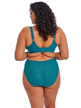Elomi Zarla aqua slip