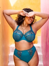 Elomi Zarla aqua slip
