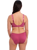 Fantasy Lingerie Envisage magenta soutien-gorge rembourré