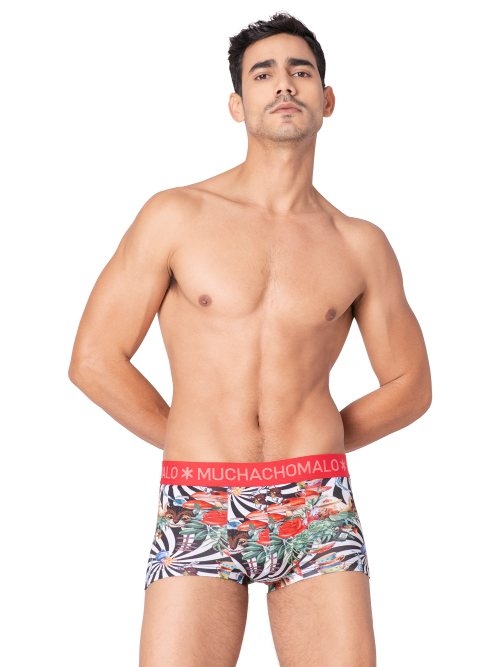 Muchachomalo Fairy Tale vert trunk