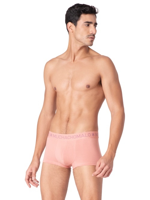 Muchachomalo Fairy Tale rose trunk