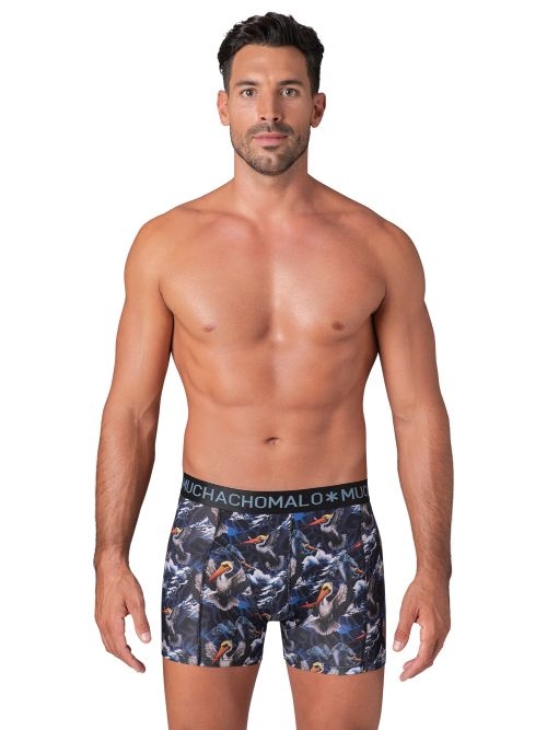 Muchachomalo Pelican Fly print boxer
