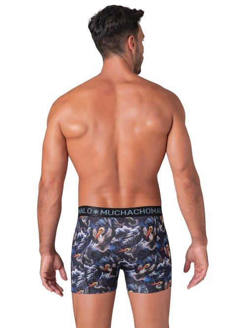 Muchachomalo Pelican Fly print boxer