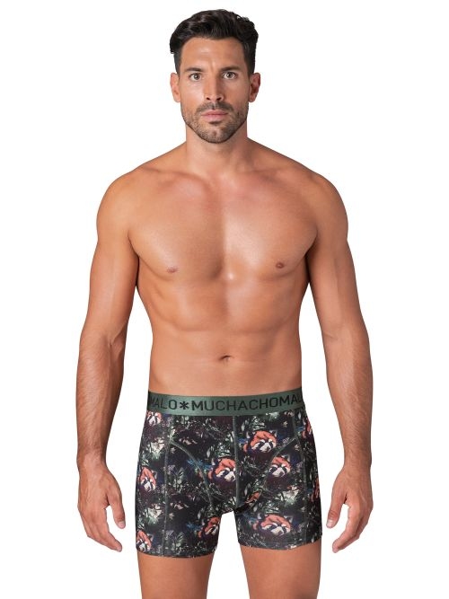 Muchachomalo Red Panda print boxer