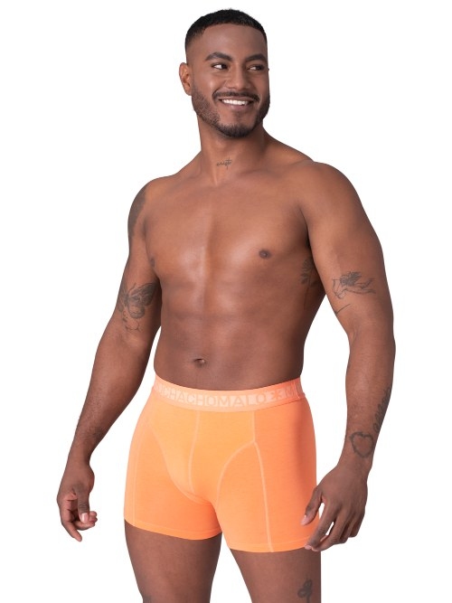 Muchachomalo Solid  orange boxer