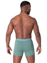 Muchachomalo Solid  orange boxer