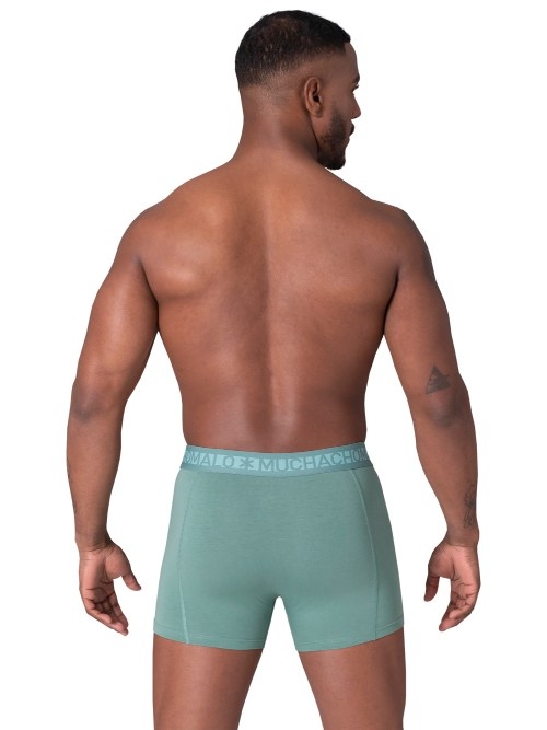 Muchachomalo Solid  orange boxer