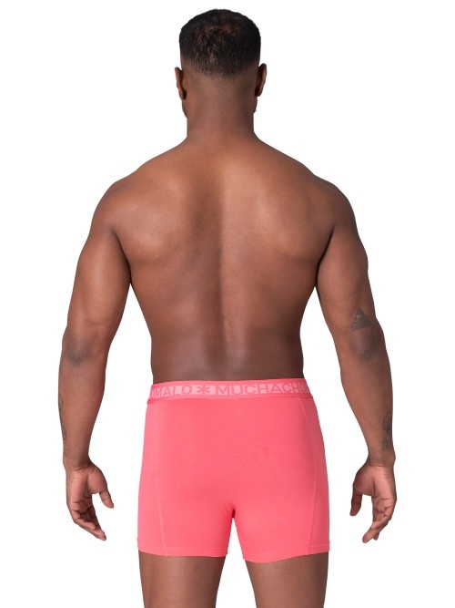 Muchachomalo Solid  vert/rose boxer