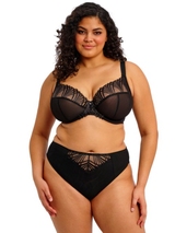 Elomi Reja noir slip brésilien