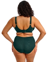 Elomi Cate Allure vert haut slip