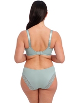 Fantasy Lingerie Reflect vert soutien-gorge rembourré
