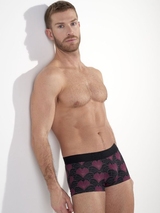 HOM Carlyle bordeaux trunk