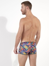 HOM Willy multicolore trunk