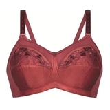 Anita Care Sabina bordeaux soutiens-gorge prothétiques