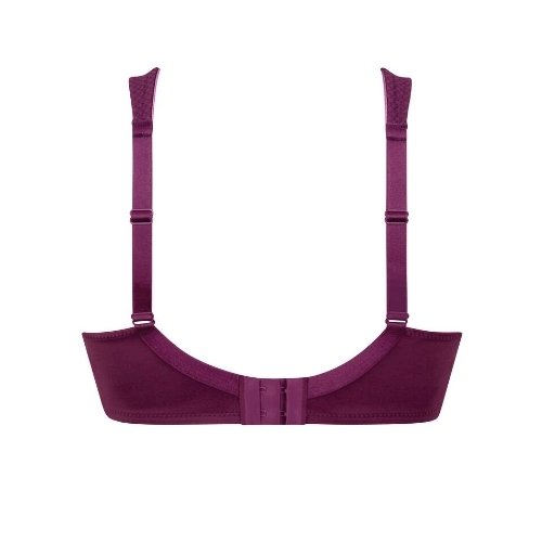 Anita Care Leni plum soutiens-gorge prothétiques