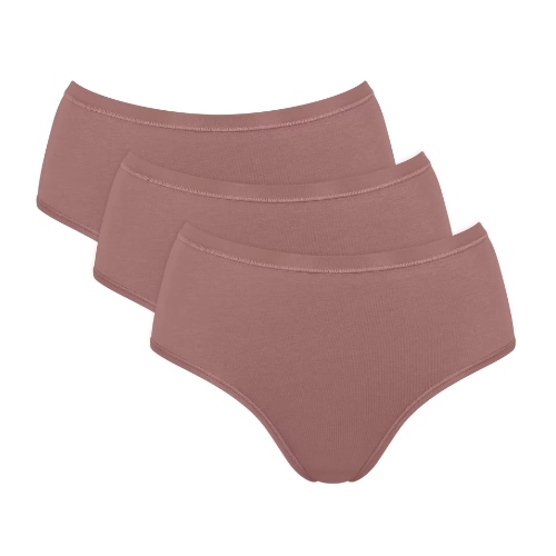 Sloggi GO Daily Cotton marron slip