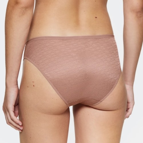 Triomphe Signature Sheer marron slip