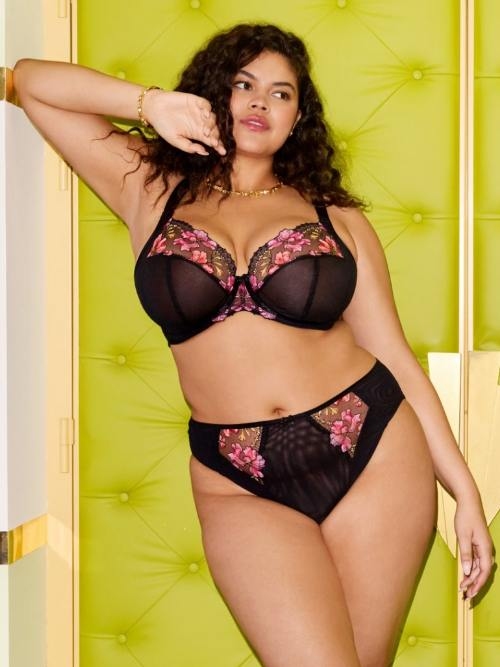 Elomi Teagan noir soutien-gorge rembourré