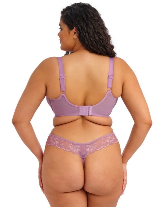 Elomi Brianna lilas culotte string