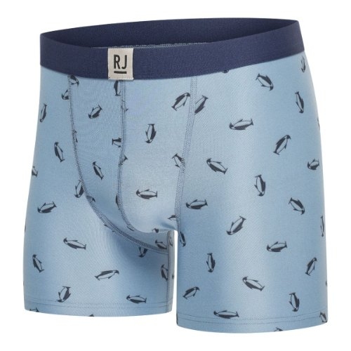 RJ Bodywear Hommes Fashion bleu sport boxer